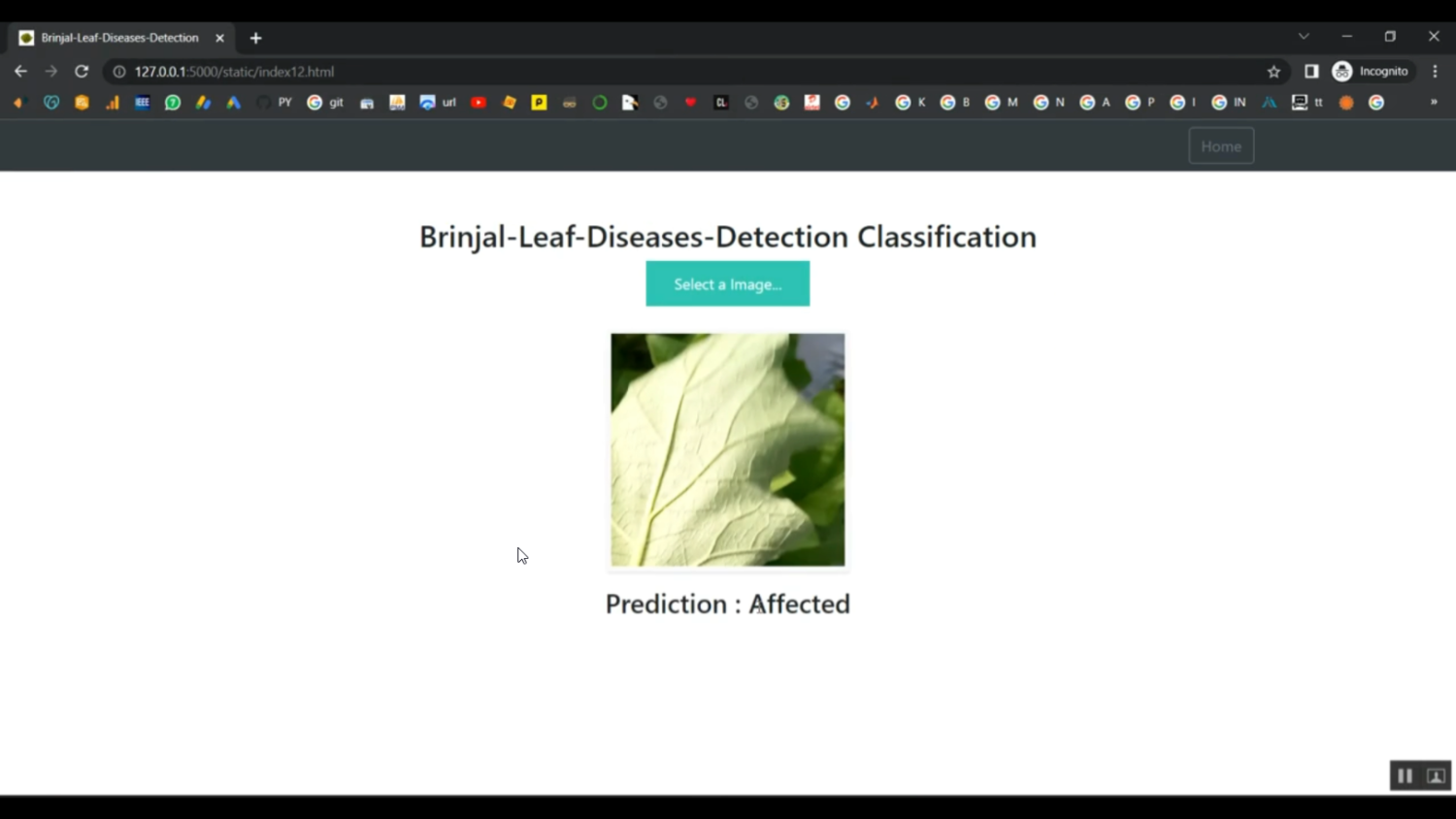 Brinjal Leaf CNN Train Flask in Python Projects