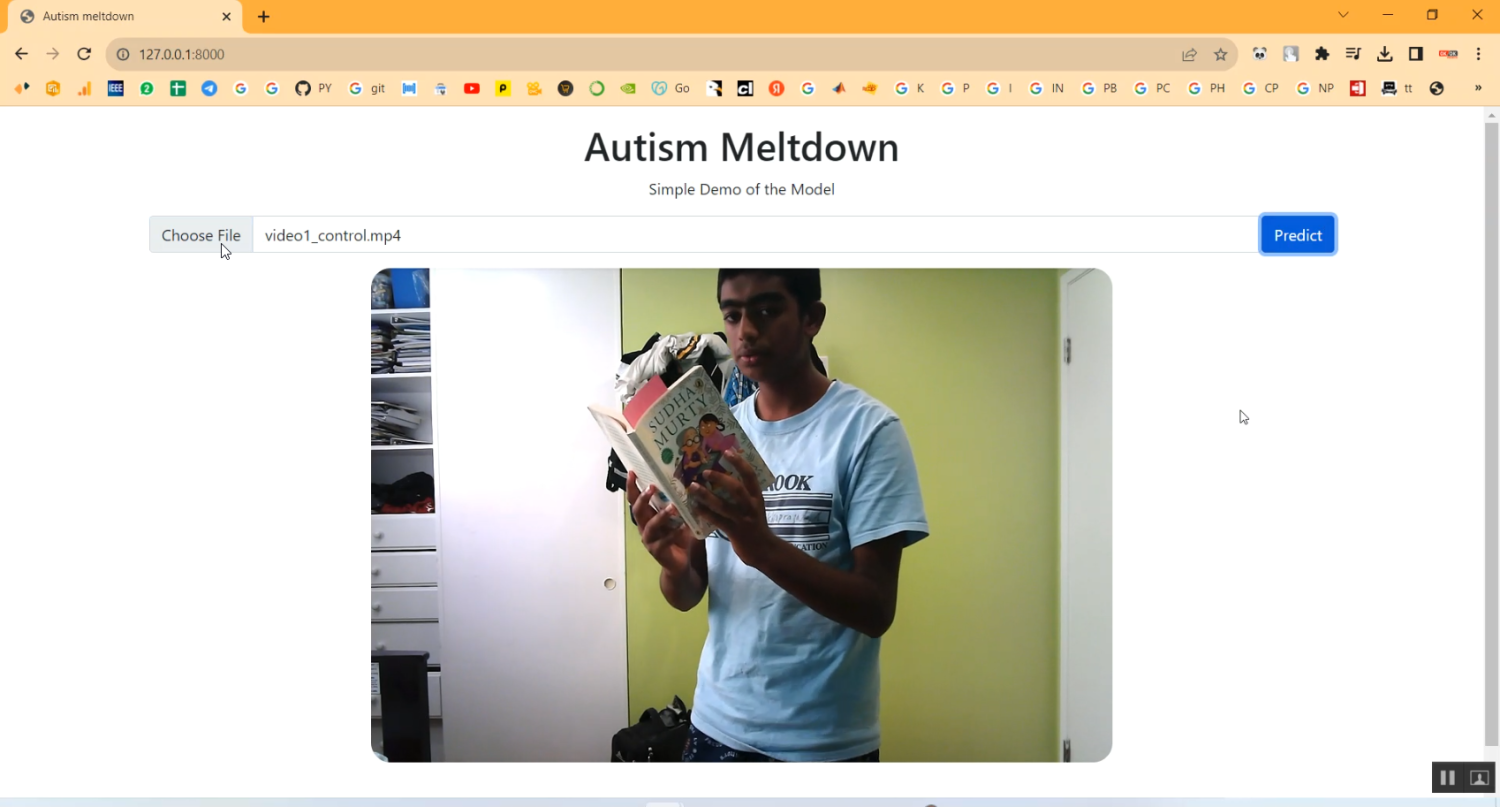Autism Meltdown in Python Projects