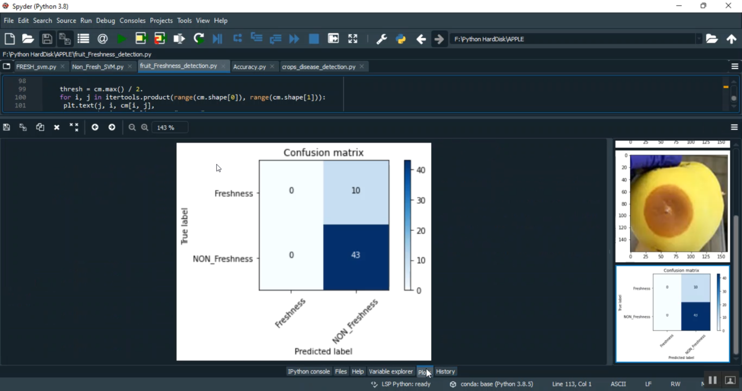 Apple Healthy and Non Healthy Prediction CNN Flask in Python Projects