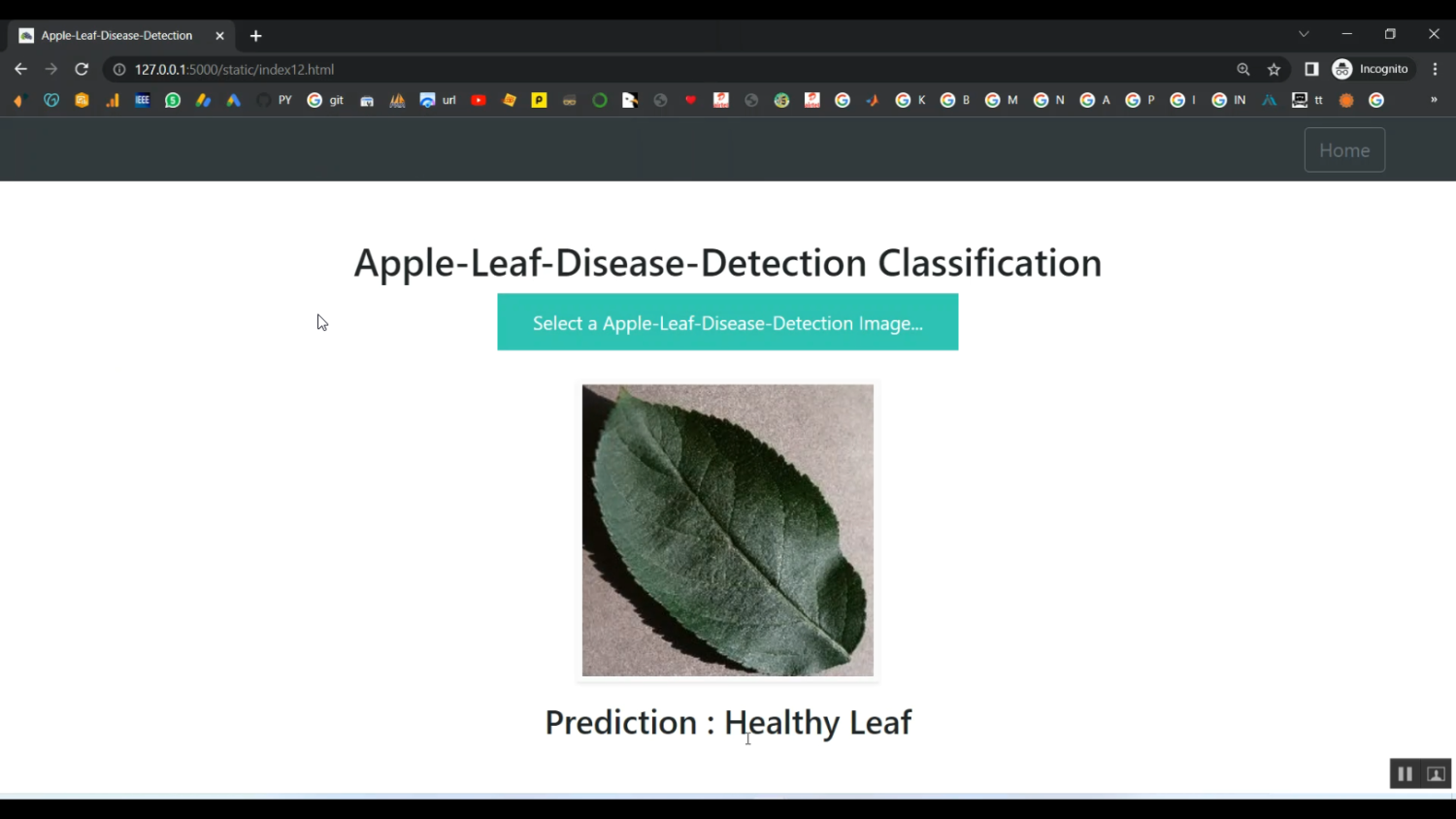 Apple Leaf Disease Detection CNN Flask in Python Projects