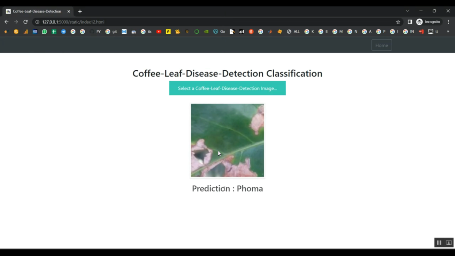Coffee Leaf Disease Detection With simple CNN Flask App in Python Projects